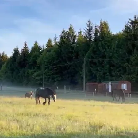 Horska Maringotka Na Farme * Kliny