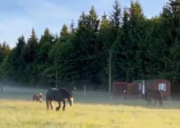 Horska Maringotka Na Farme * Kliny